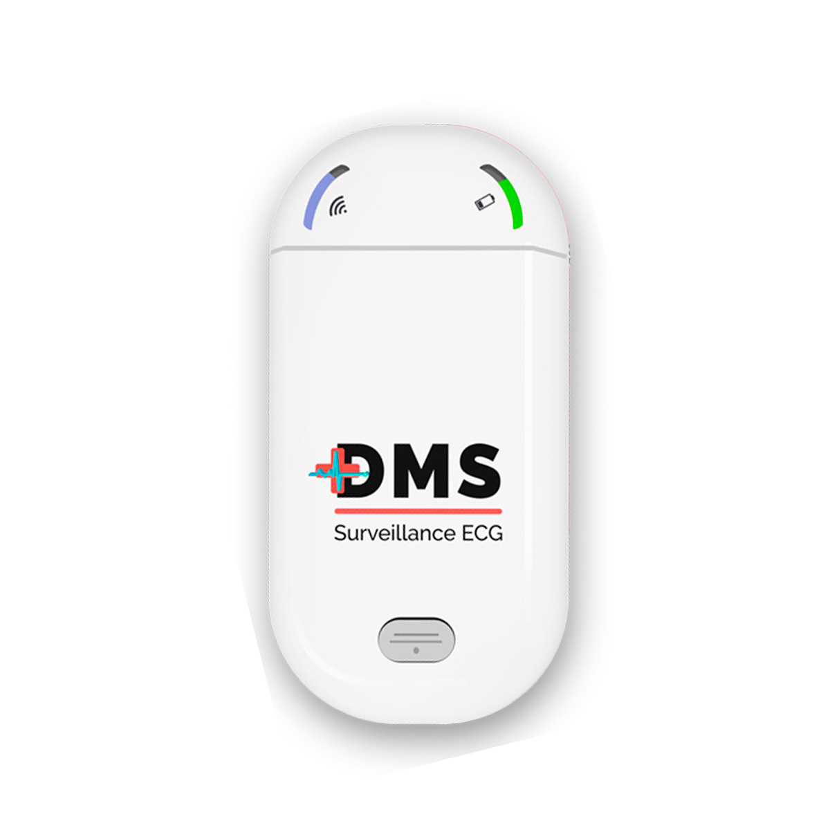 DMS 300-2e