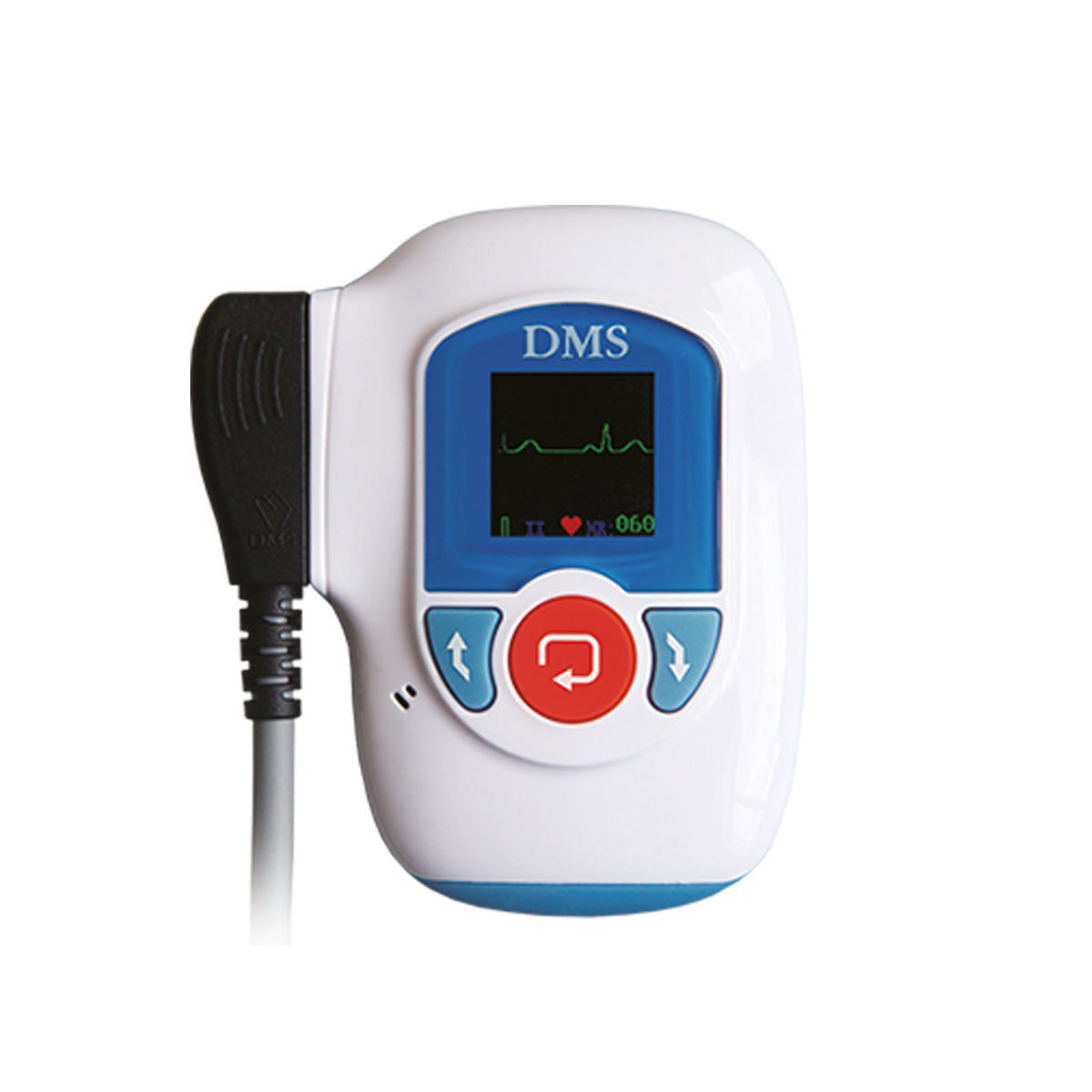 DMS 300-4L