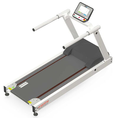ergosprint T